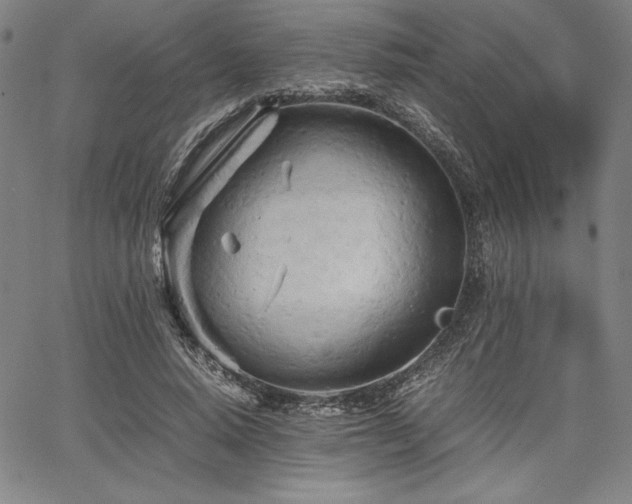 X0000067830640200604131202