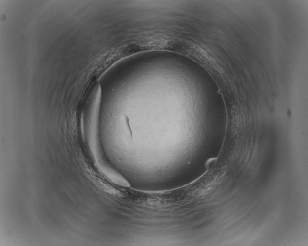 X0000067830641200604131202