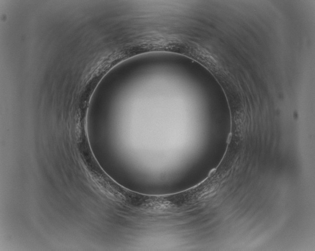 X0000067830642200604131202