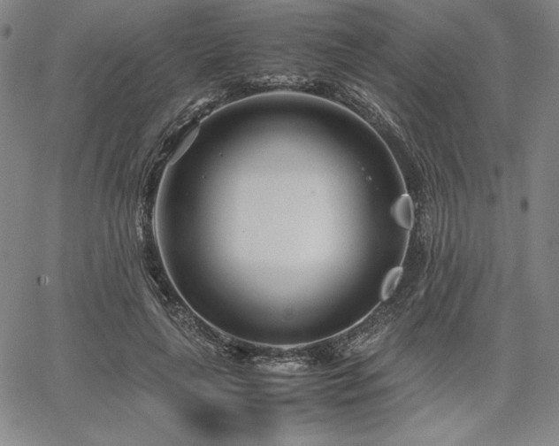 X0000067830643200604131202