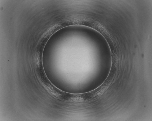 X0000067830644200604131202