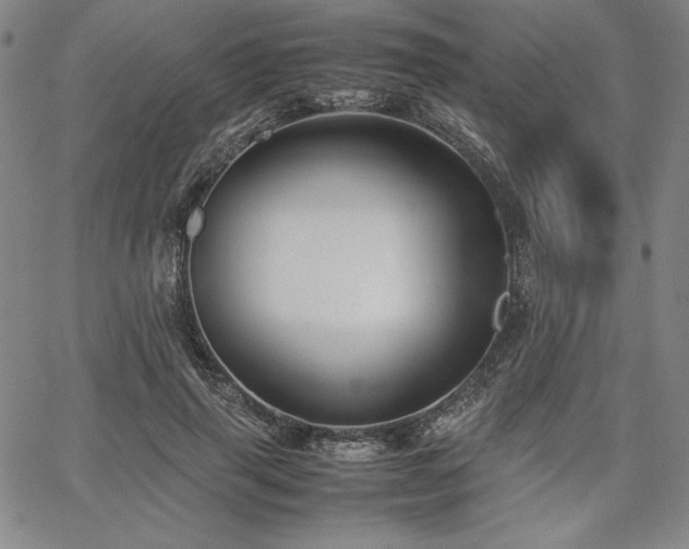 X0000067830645200604131202