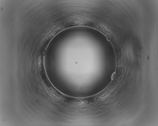 X0000067830646200604131202