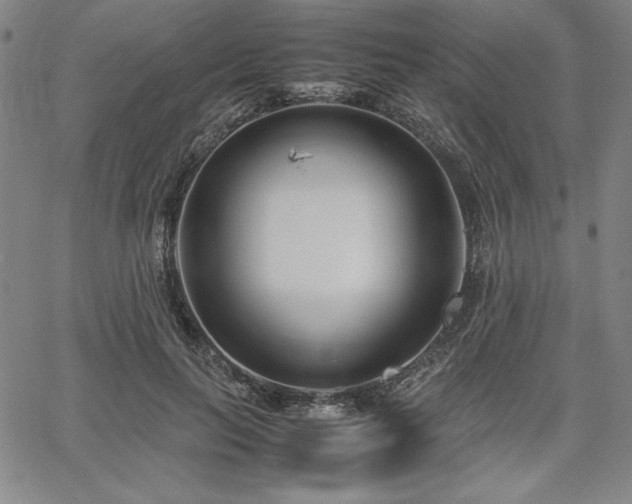 X0000067830647200604131202