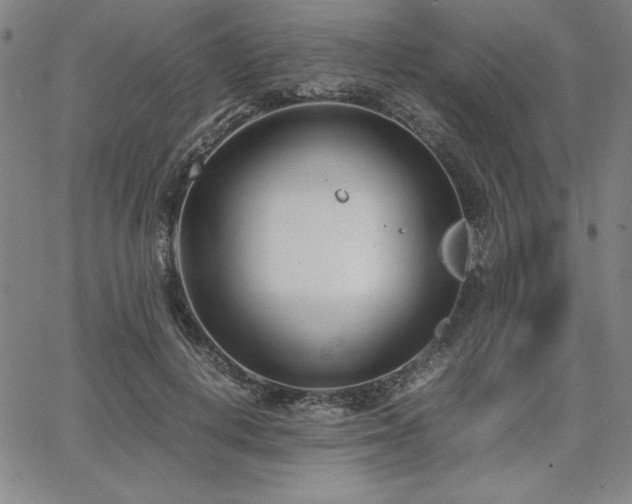 X0000067830648200604131202