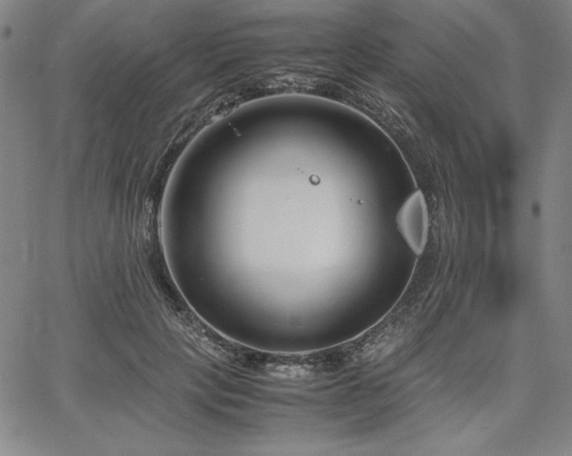 X0000067830649200604131202