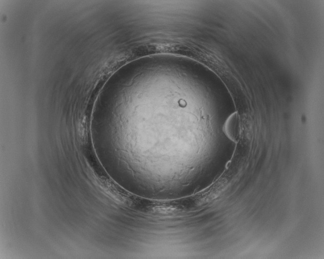 X0000067830650200604131202