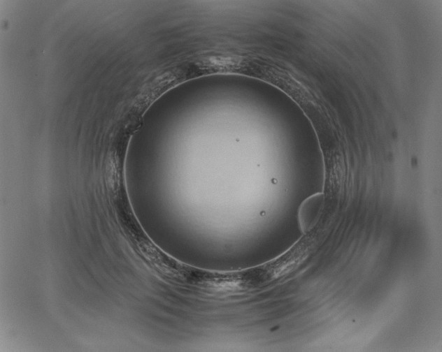 X0000067830651200604131202