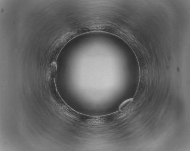 X0000067830652200604131202