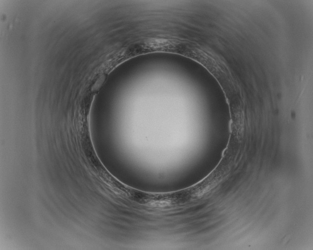 X0000067830653200604131202