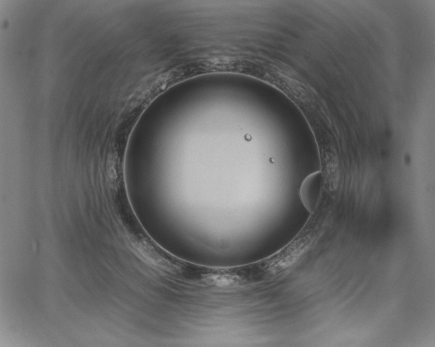 X0000067830654200604131202