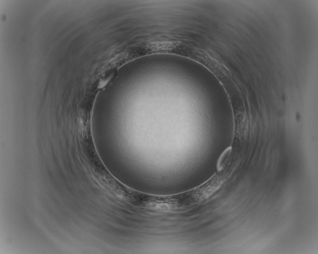 X0000067830655200604131202