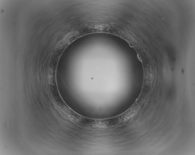 X0000067830656200604131202