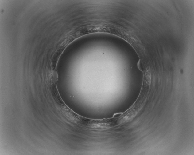 X0000067830657200604131202