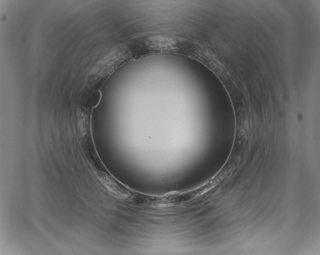 X0000067830658200604131202