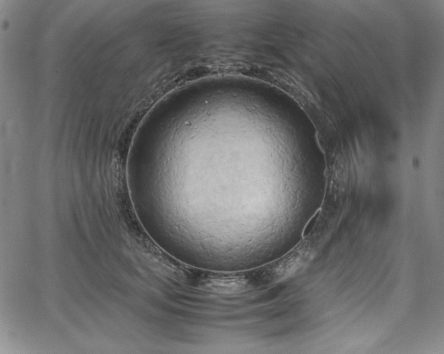 X0000067830659200604131202