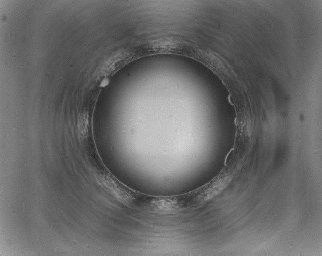 X0000067830660200604131202