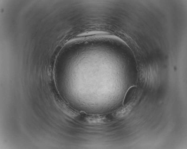 X0000067830661200604131202