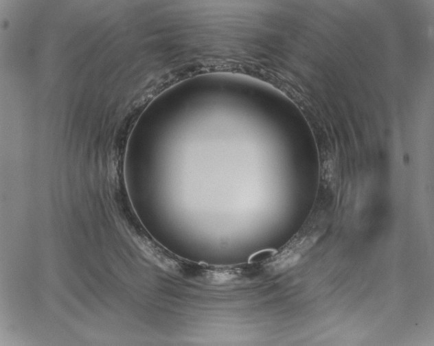 X0000067830662200604131202