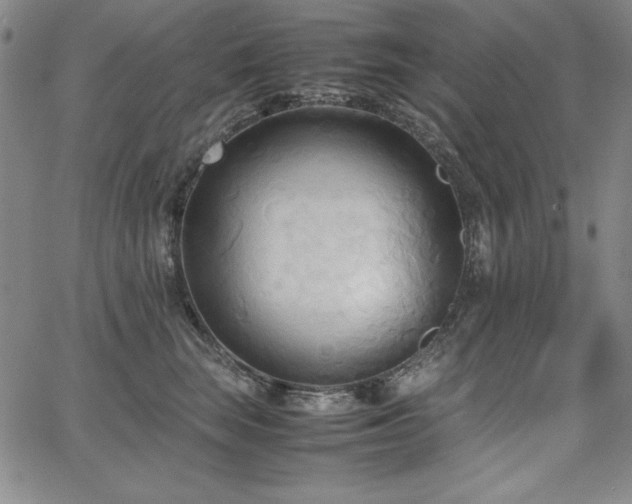 X0000067830663200604131202