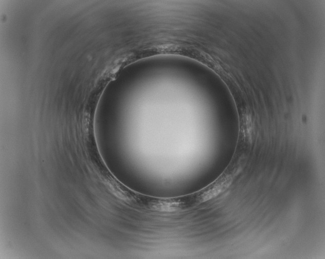 X0000067830664200604131202