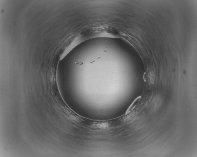 X0000067830665200604131202