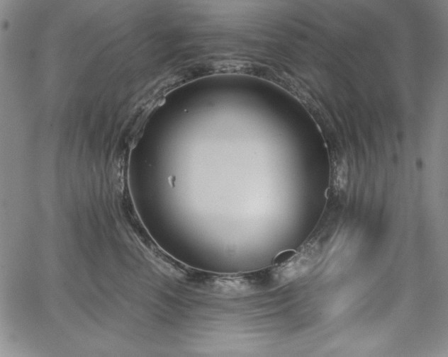 X0000067830666200604131202