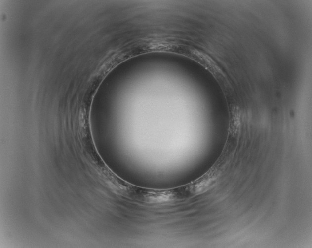 X0000067830667200604131202