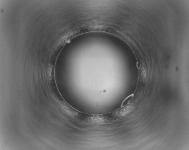 X0000067830668200604131202