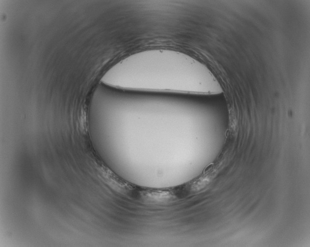 X0000067830669200604131202