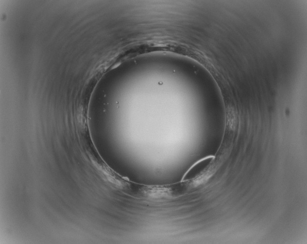 X0000067830670200604131202