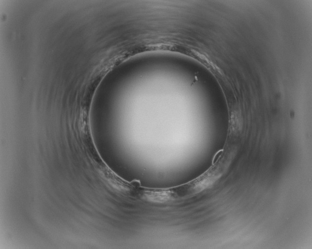 X0000067830671200604131202