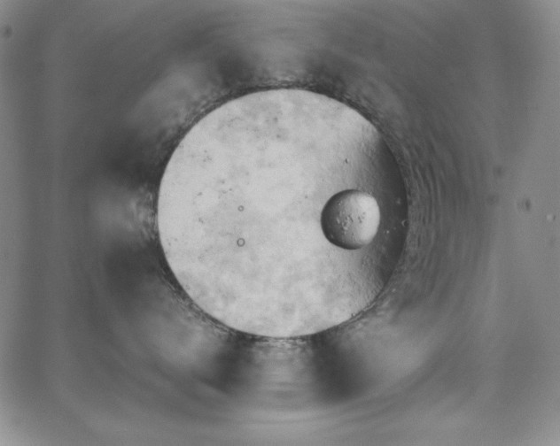 X0000067830672200604131202