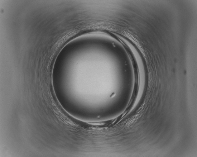 X0000067830673200604131201