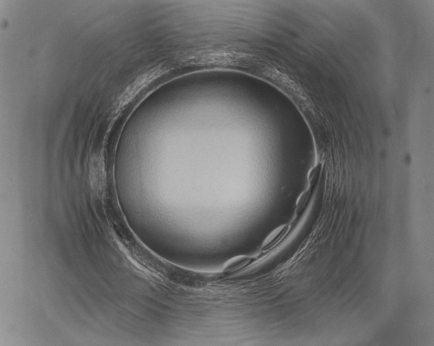 X0000067830674200604131201