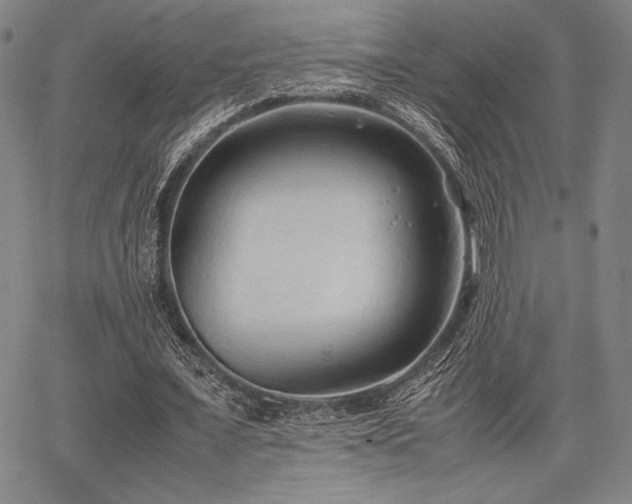 X0000067830675200604131201