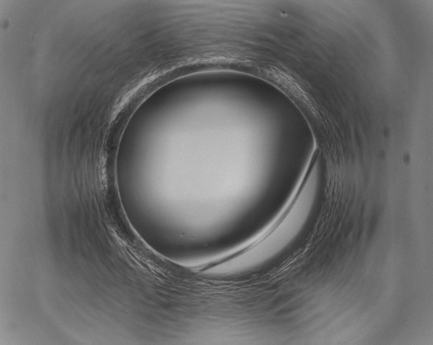 X0000067830676200604131201