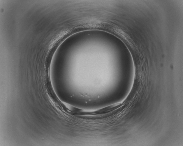 X0000067830677200604131201