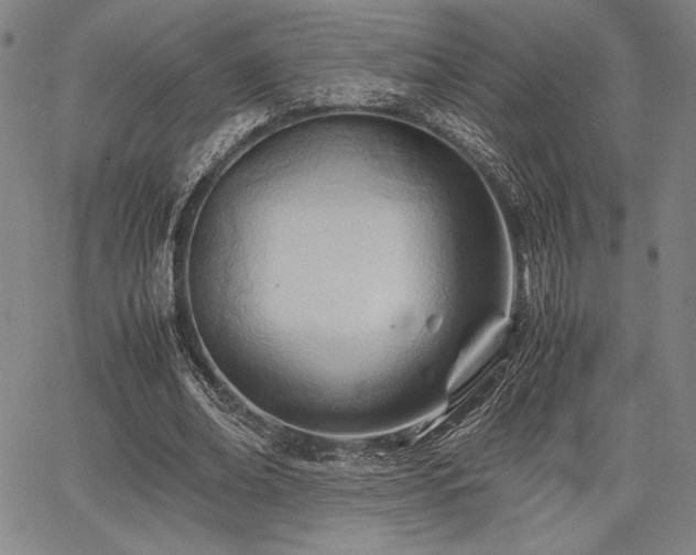 X0000067830678200604131201