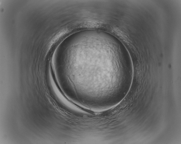 X0000067830679200604131201