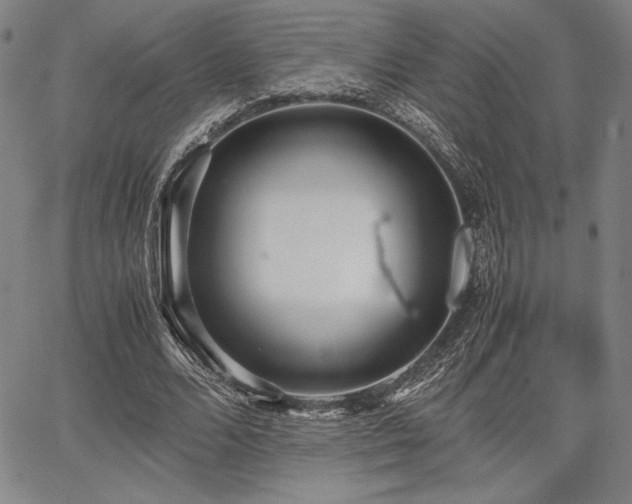 X0000067830680200604131201