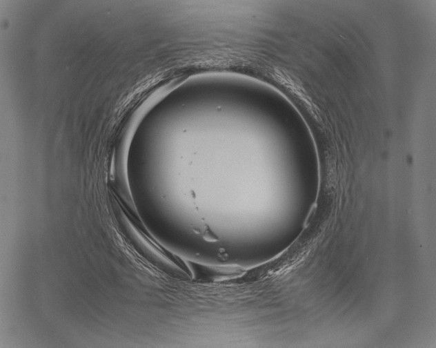 X0000067830681200604131201