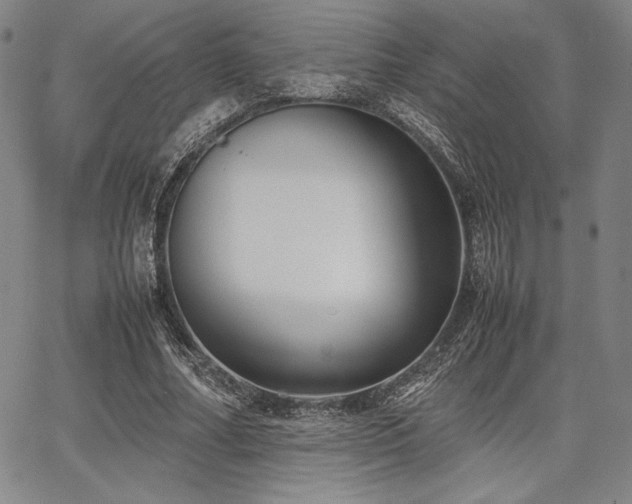 X0000067830682200604131201