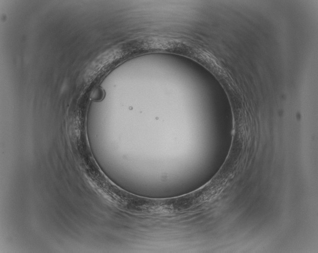 X0000067830683200604131201