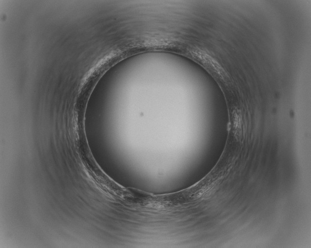 X0000067830684200604131201