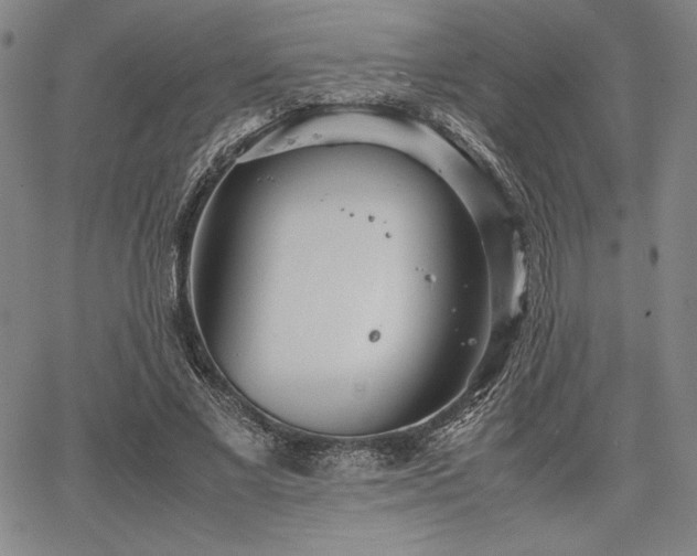 X0000067830685200604131201