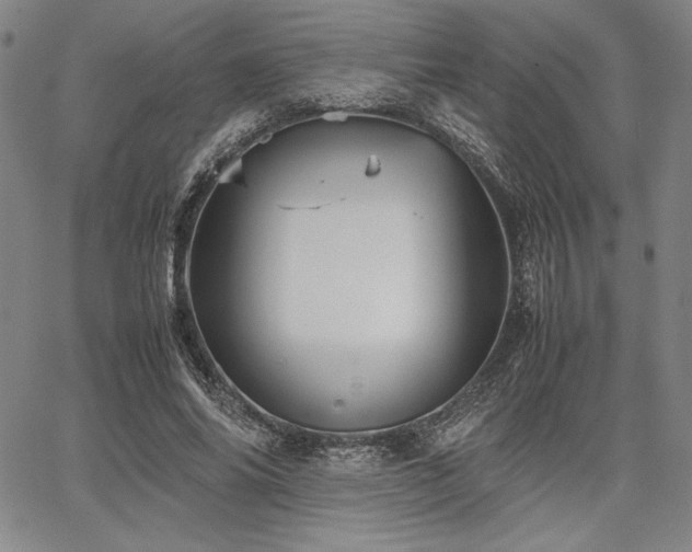 X0000067830686200604131201