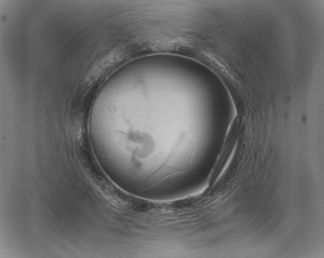 X0000067830687200604131201