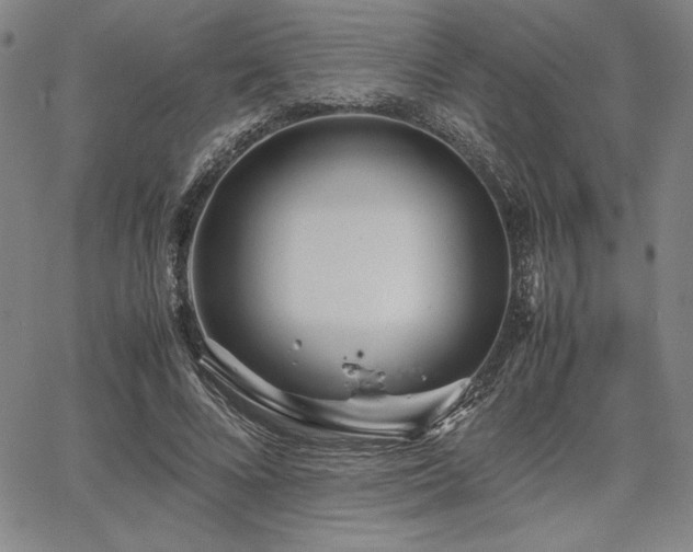 X0000067830688200604131201