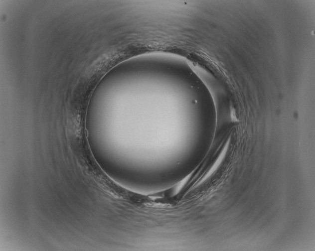 X0000067830689200604131201